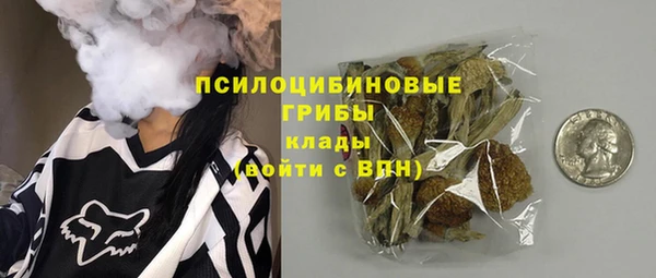 кокс Бородино