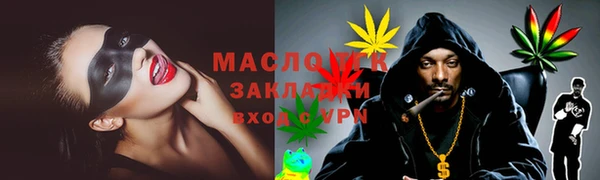 гидра Бронницы