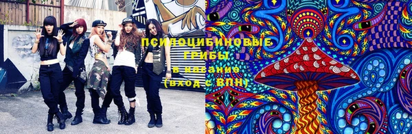 кокс Бородино