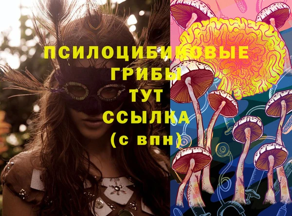 кокс Бородино
