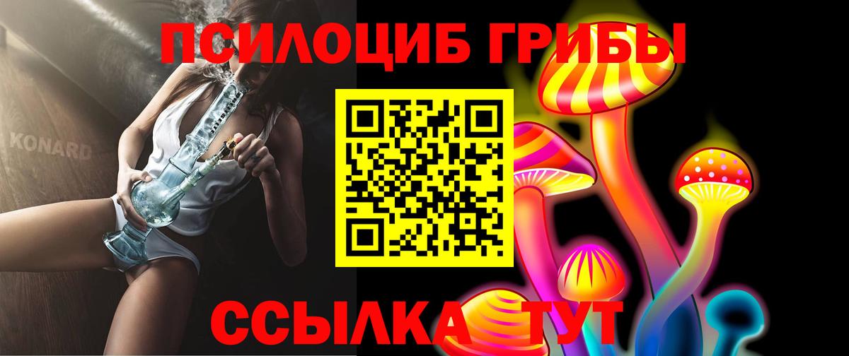 Буйнакск  Галлюциногенные грибы Psilocybine cubensis  Вход с VPN 