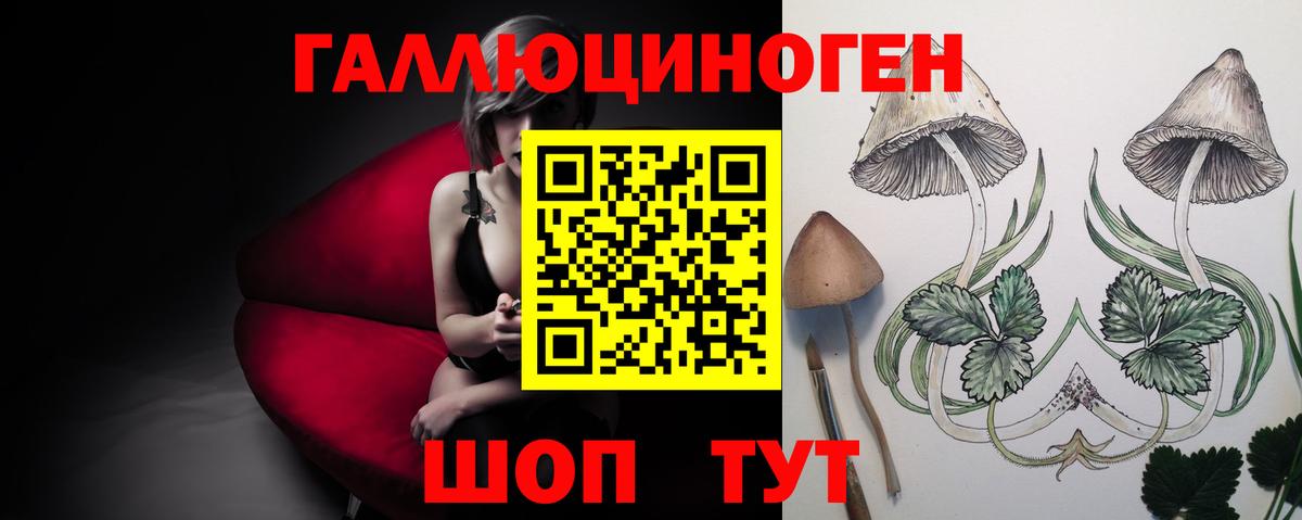 Псилоцибиновые грибы мицелий Буйнакск